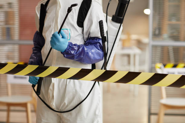 Professional Sewage Cleanup technician working in Markham, TX